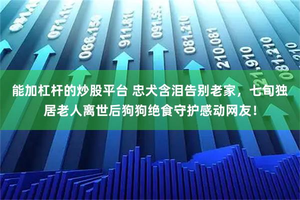 能加杠杆的炒股平台 忠犬含泪告别老家，七旬独居老人离世后狗狗绝食守护感动网友！